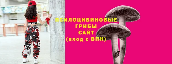 хмурый Бугульма