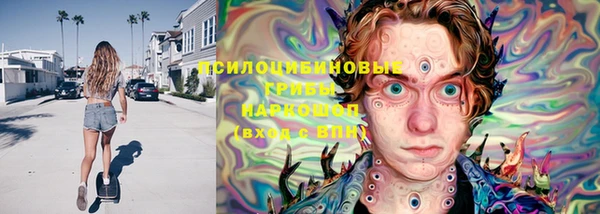 шишки Бородино