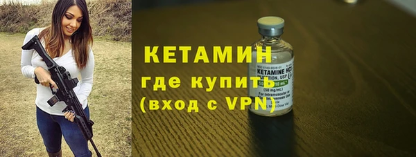 шишки Бородино