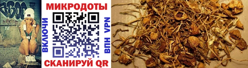 Купить где  Аркадак  Псилоцибиновые грибы ЛСД 
